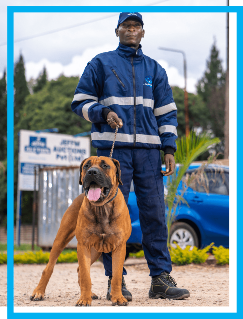 6.1 Stars Security Guard and Dog Section